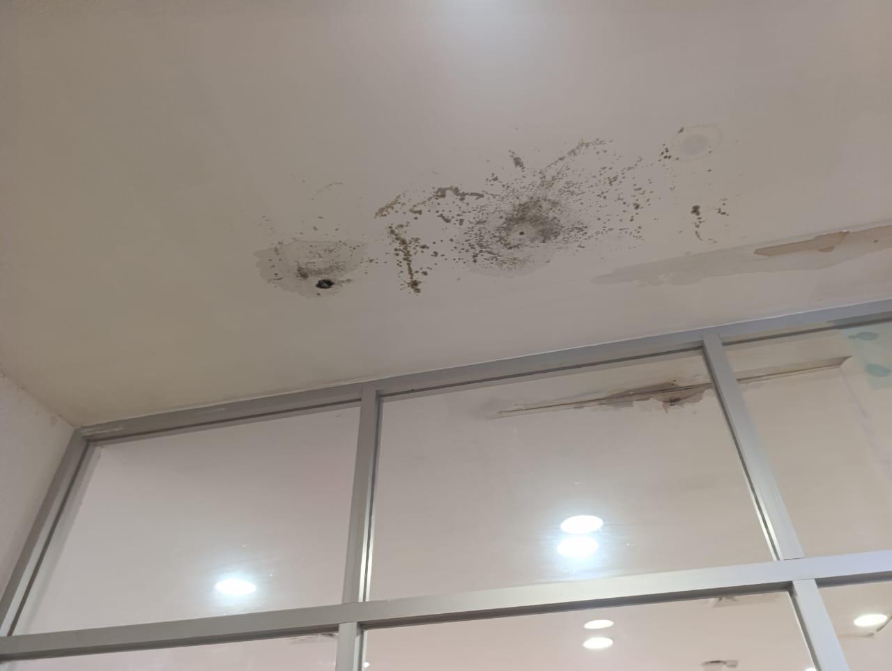 $!Se inunda la Biblioteca Digital ‘Güilo Mentiras’ en Escuinapa