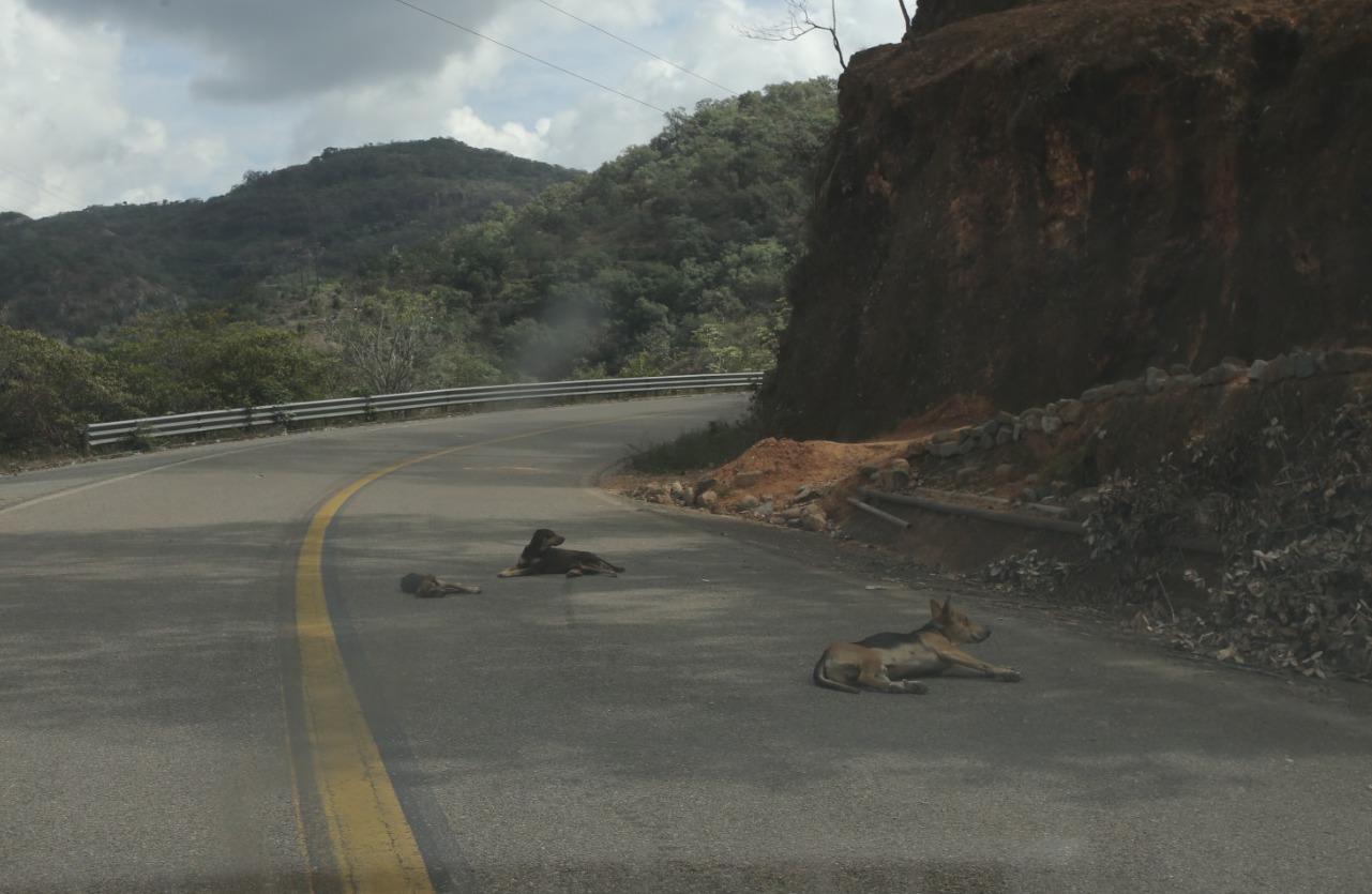 $!Tiene zona serrana de Concordia pueblos fantasma por la violencia