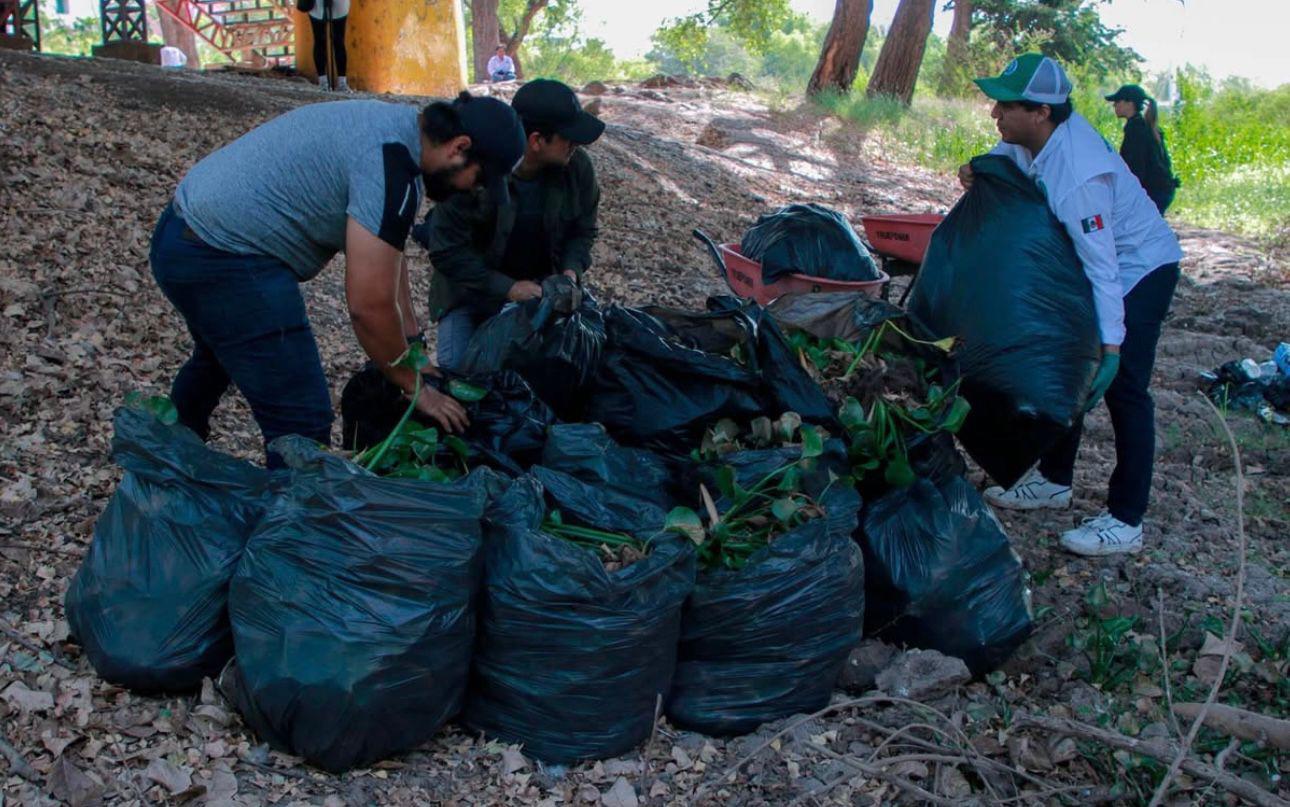 $!Sacan 5.5 toneladas de lirio acuático del río en Culiacán