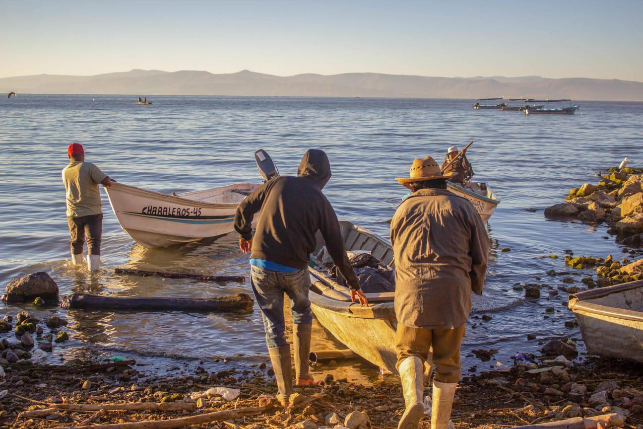 $!Inicia veda en callo de hacha, liseta, ostiones y otros peces en 15 estados de México