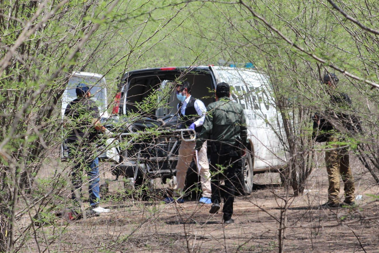 $!Reporta Sabuesos Guerreras hallazgo de dos cuerpos al sur de Culiacán