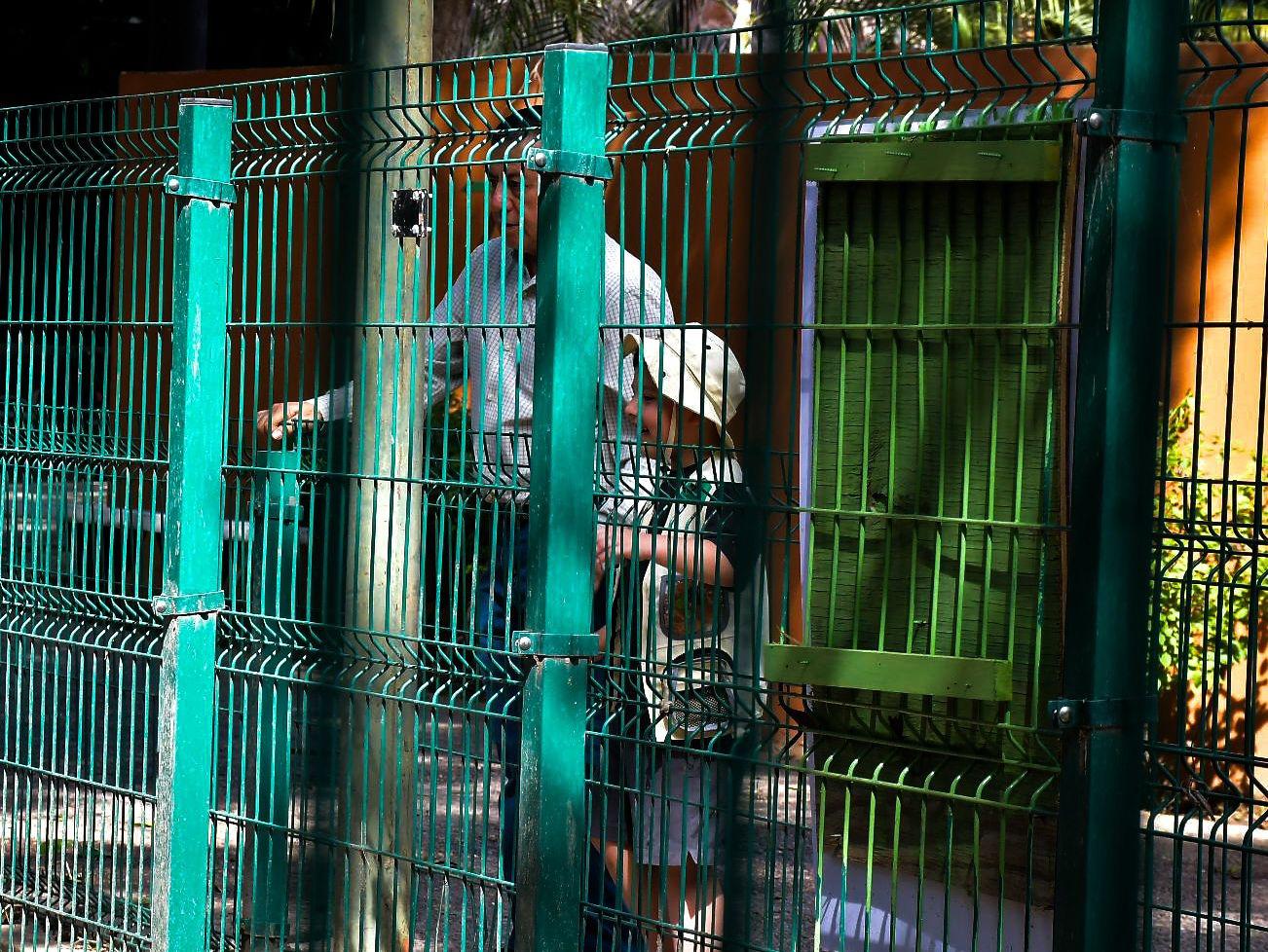 $!Aumentan visitas al Zoológico de Culiacán con la llegada de Luna y Tostadito, la pareja de capibaras