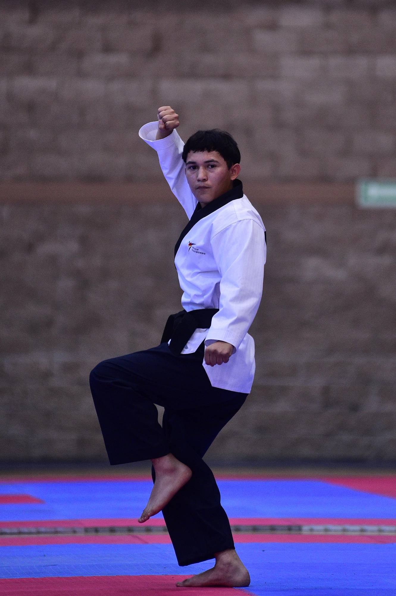 $!Eldorado arrasa en el taekwondo estatal: tres oros en poomsae