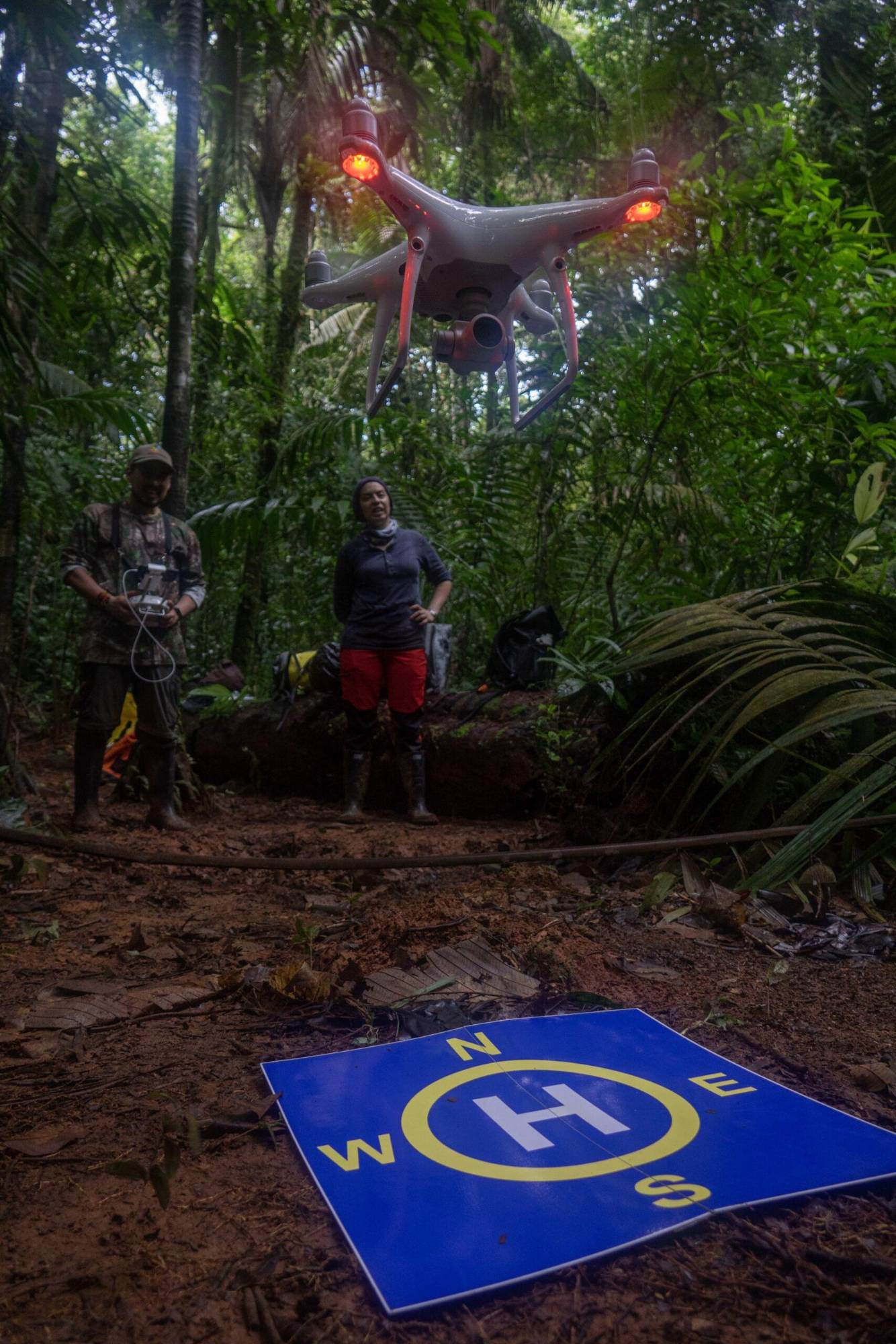 $!El vuelo que inquieta a las rapaces: así reaccionan estas aves ante los drones, según una década de estudios en Latinoamérica