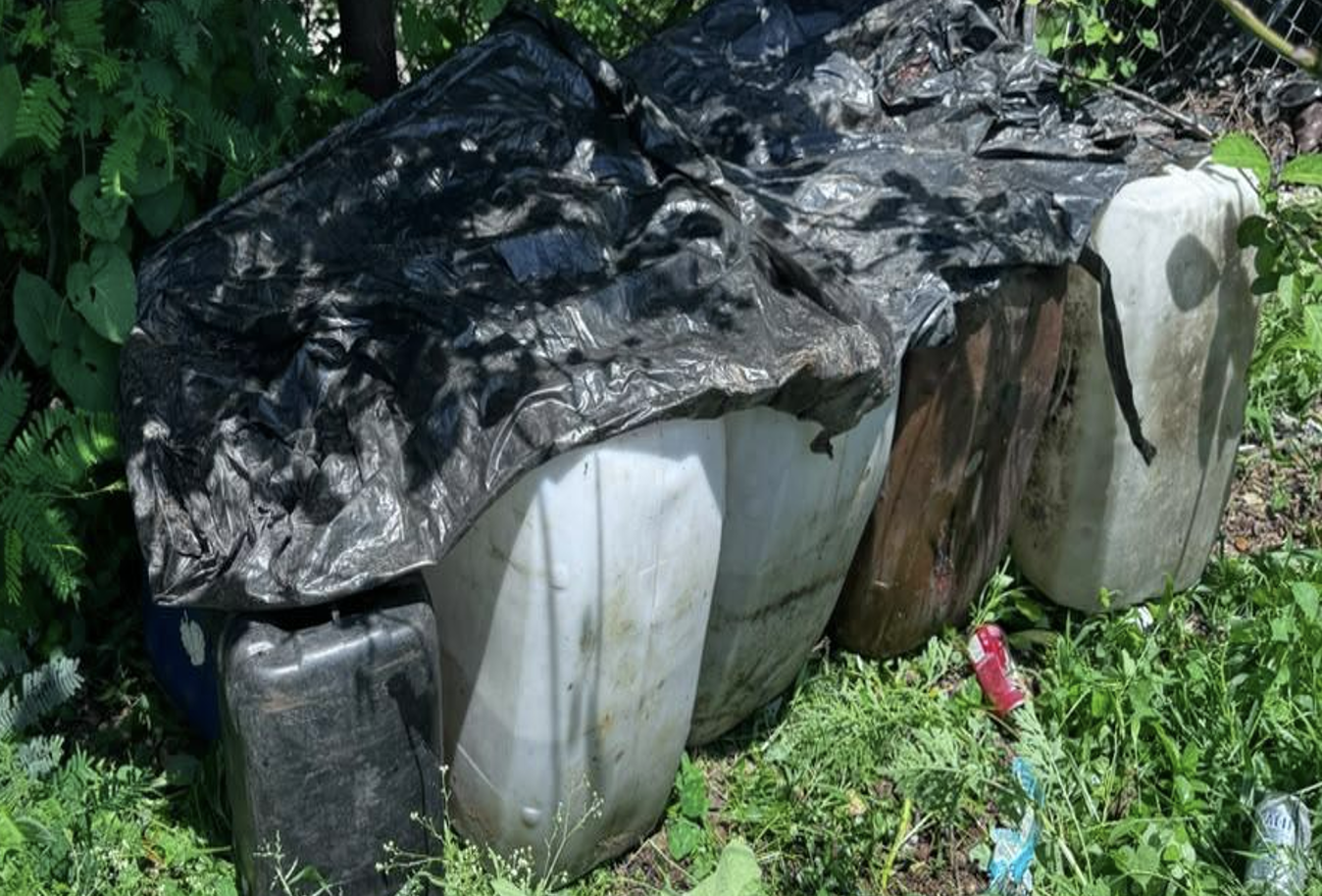$!Ejército asegura 435 kilos de marihuana y desmantela zonas de producción de droga en Cosalá