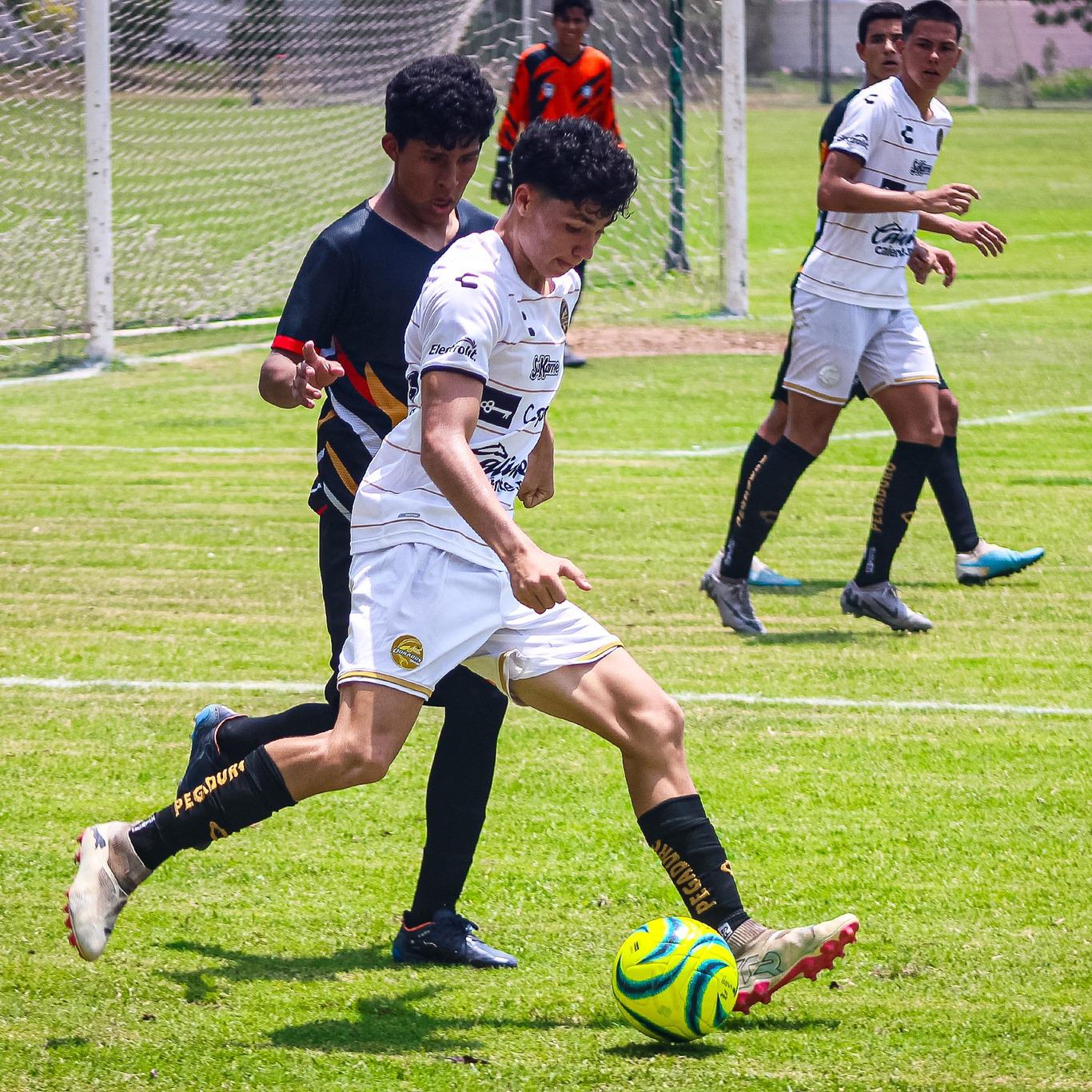 $!Dorados es retirado de la Tercera División por seguridad