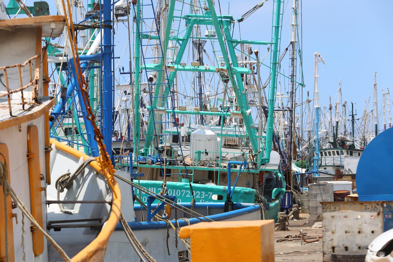 $!Definen fechas para la pesca del camarón en Sinaloa: 14 de septiembre en esteros y bahías y el 21 en altamar