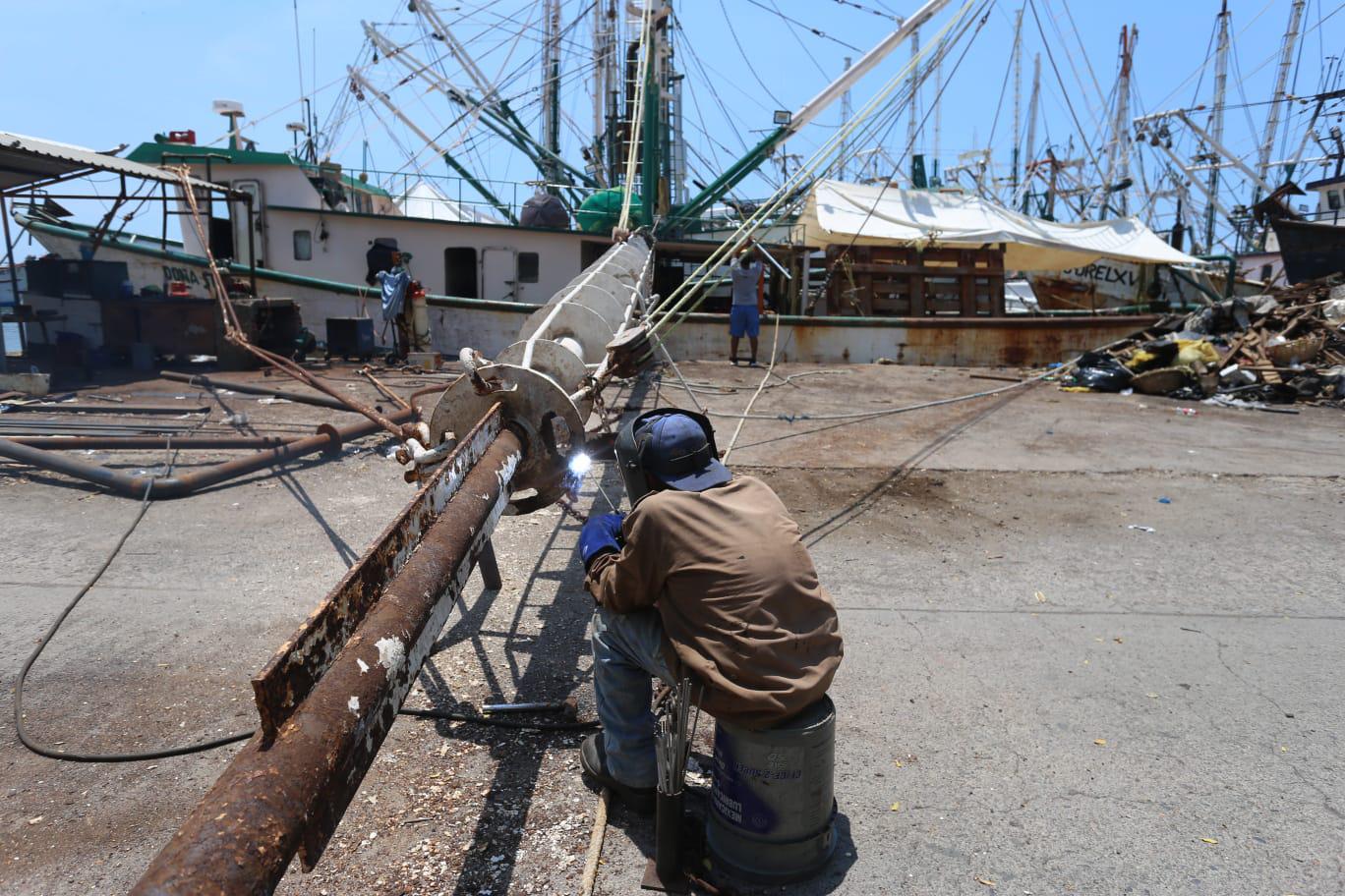 $!Definen fechas para la pesca del camarón en Sinaloa: 14 de septiembre en esteros y bahías y el 21 en altamar
