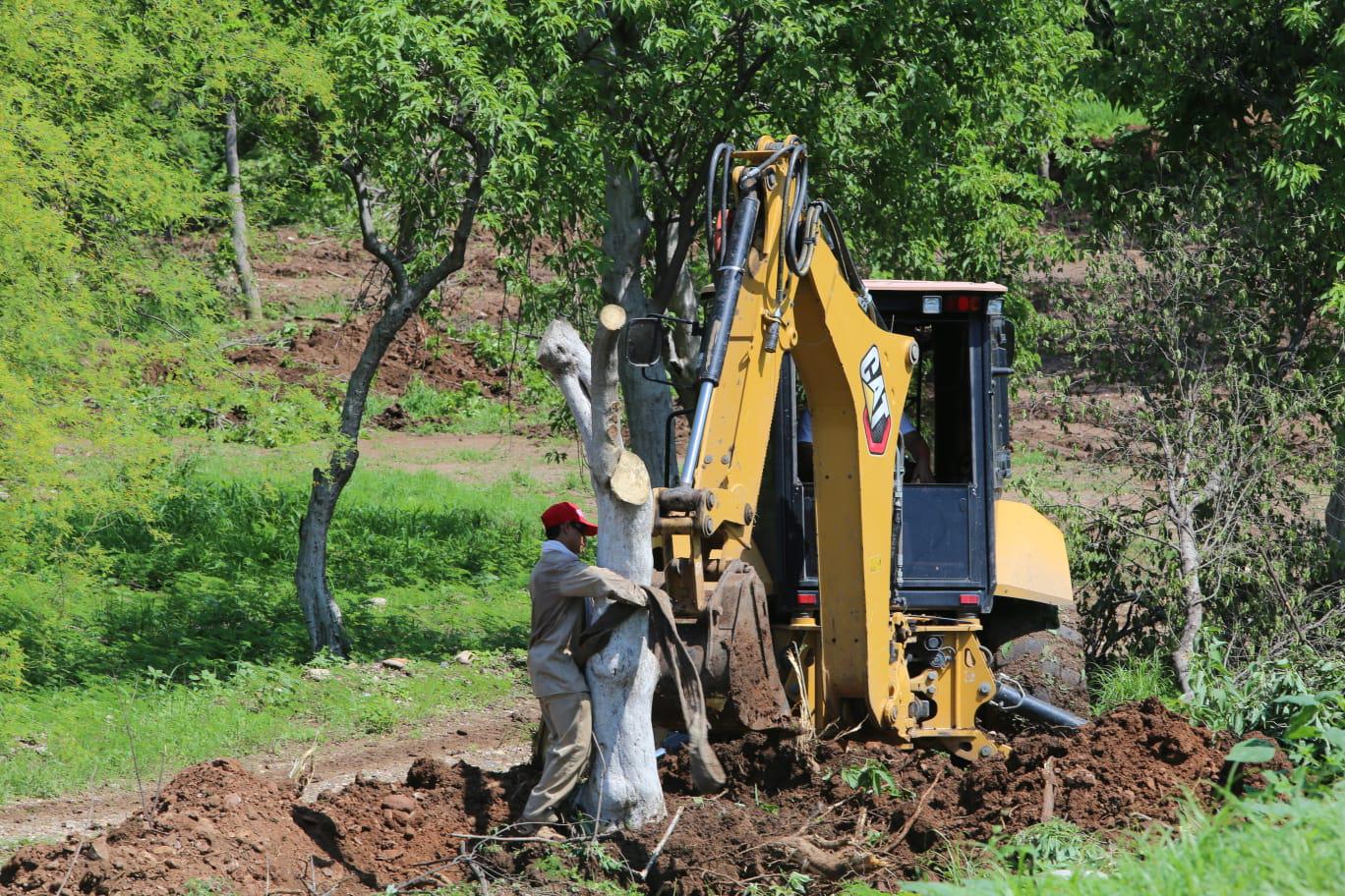 $!Denuncian ‘ecocidio’ por retiro de árboles en el Parque Culiacán 87; Ayuntamiento defiende trasplante para obra inclusiva