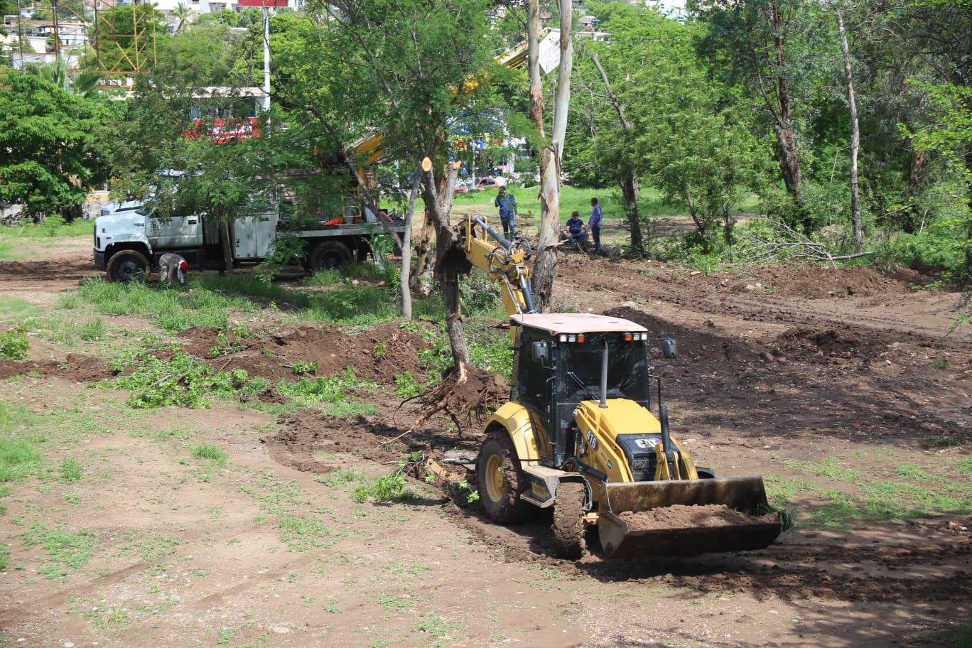 $!Denuncian ‘ecocidio’ por retiro de árboles en el Parque Culiacán 87; Ayuntamiento defiende trasplante para obra inclusiva
