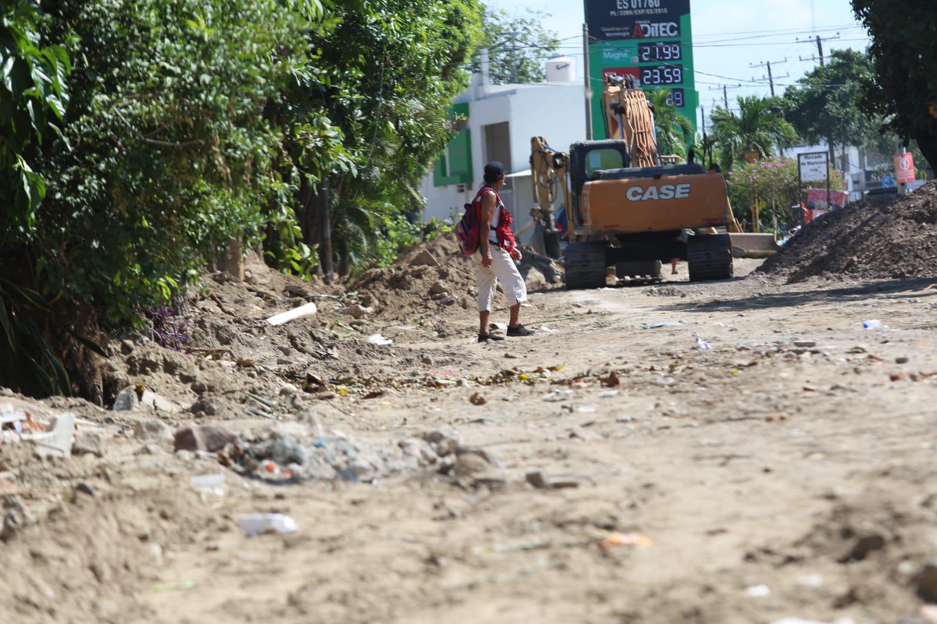 $!Piden algunos vecinos retirar árboles de la Emilio Barragán porque les daña sus drenajes; Alcalde de Mazatlán les dice que no