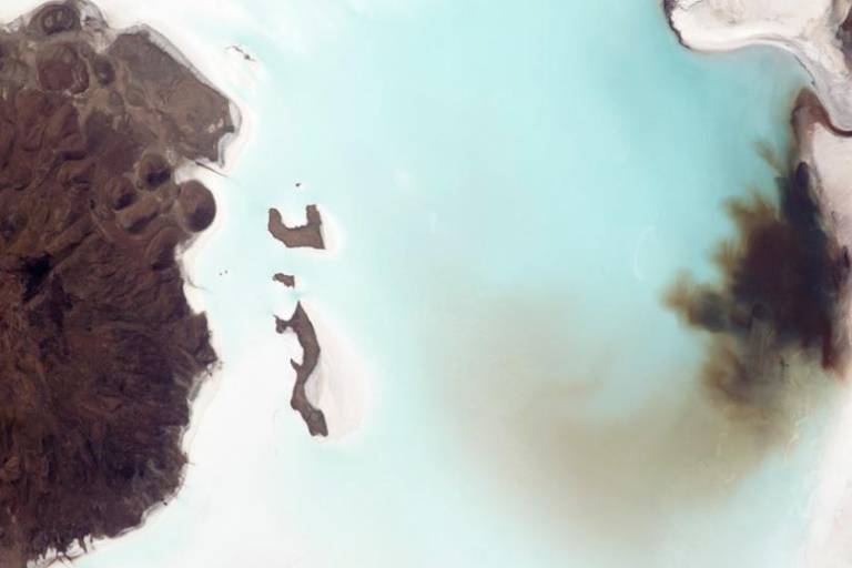 En la fiebre del Litio, pesa más el aprovechamiento económico que la preocupación por la salvedades ambientales