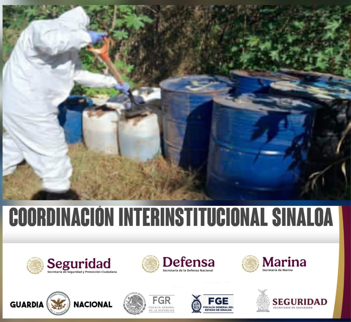 $!Aseguran seis áreas de concentración de sustancias químicas en Sinaloa