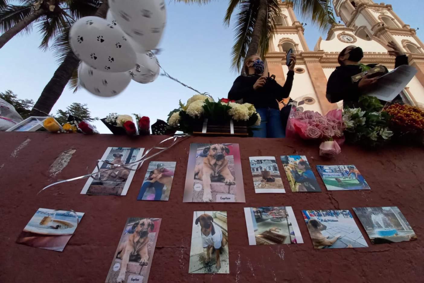 $!Estatua para ‘Capitán’ costará 154 mil pesos; recursos saldrán de Fundación Huellitas