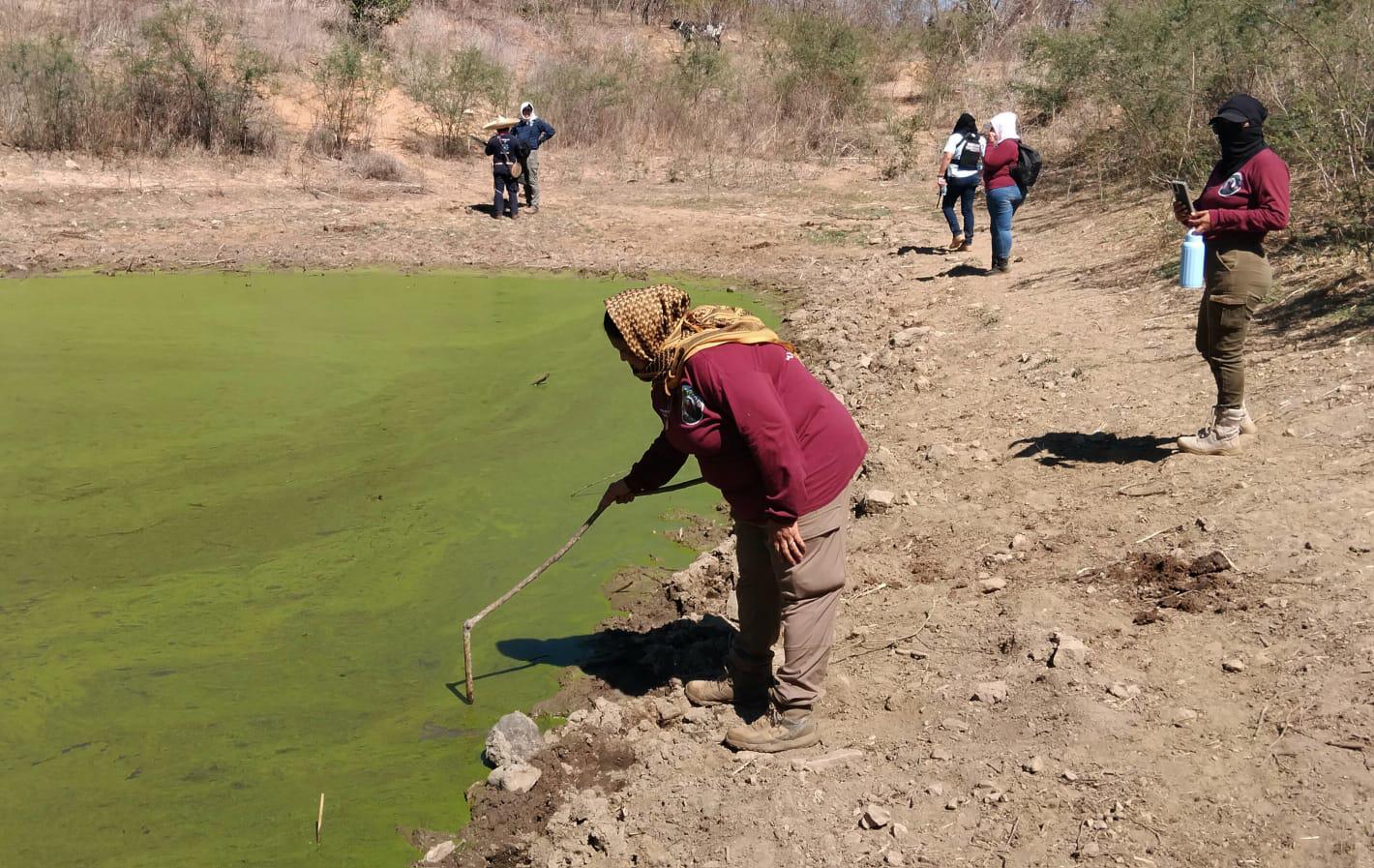 $!Caminar la tierra en silencio: Una jornada de prospección en El Verde