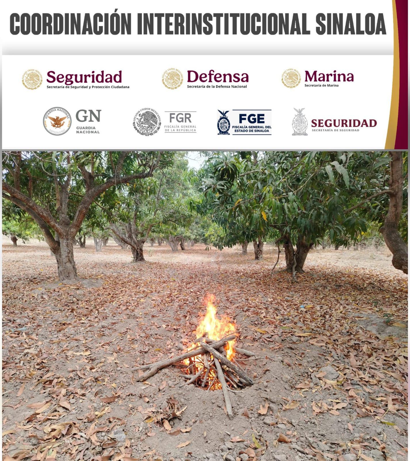 $!Desmantelan presunto campamento criminal tras agresión contra GN en Escuinapa
