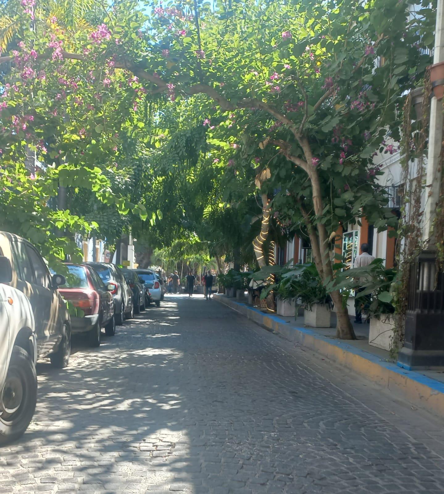 $!Divide opiniones hacer peatonal calles del Centro de Mazatlán para cruceristas