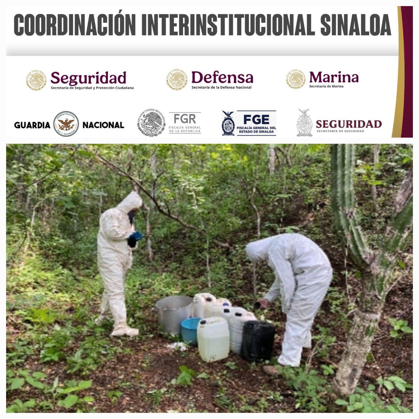 $!Aseguran químicos y laboratorios inactivos en Culiacán, Elota y Cosalá