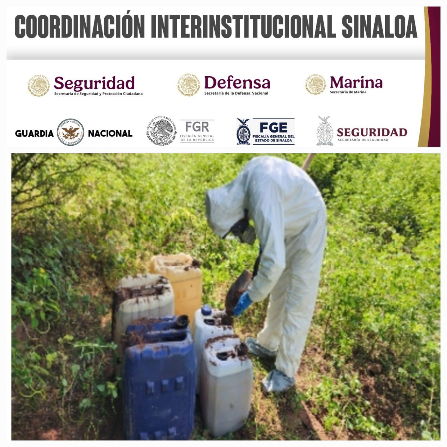 $!Aseguran químicos y laboratorios inactivos en Culiacán, Elota y Cosalá