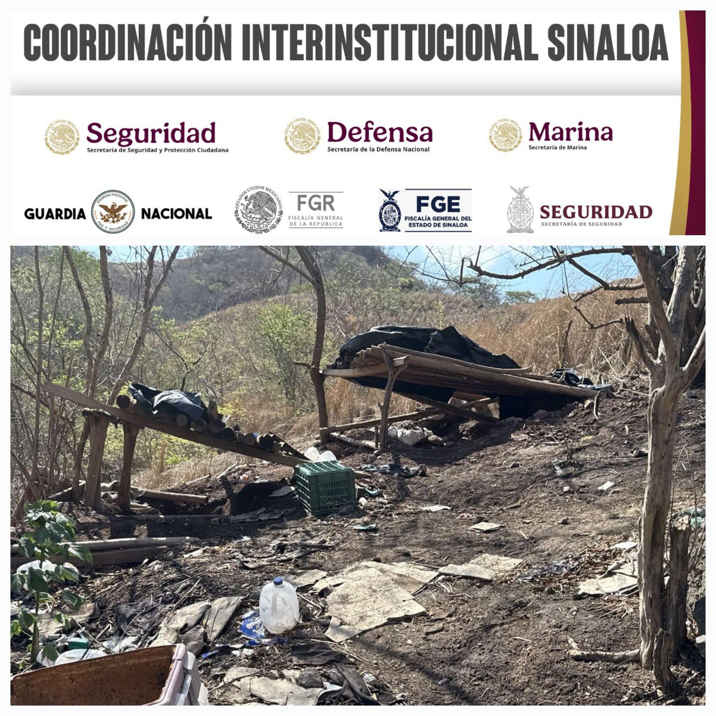 $!Marina desmantela dos campamentos y asegura droga, cartuchos y equipo táctico en Escuinapa