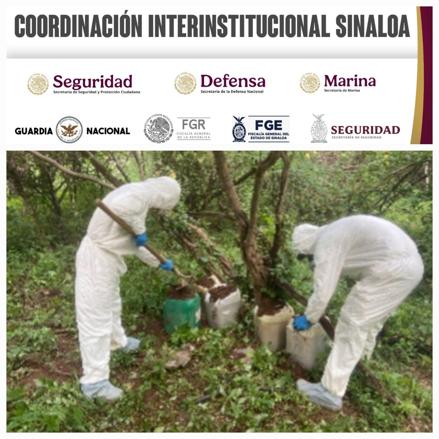 $!Aseguran químicos y laboratorios inactivos en Culiacán, Elota y Cosalá