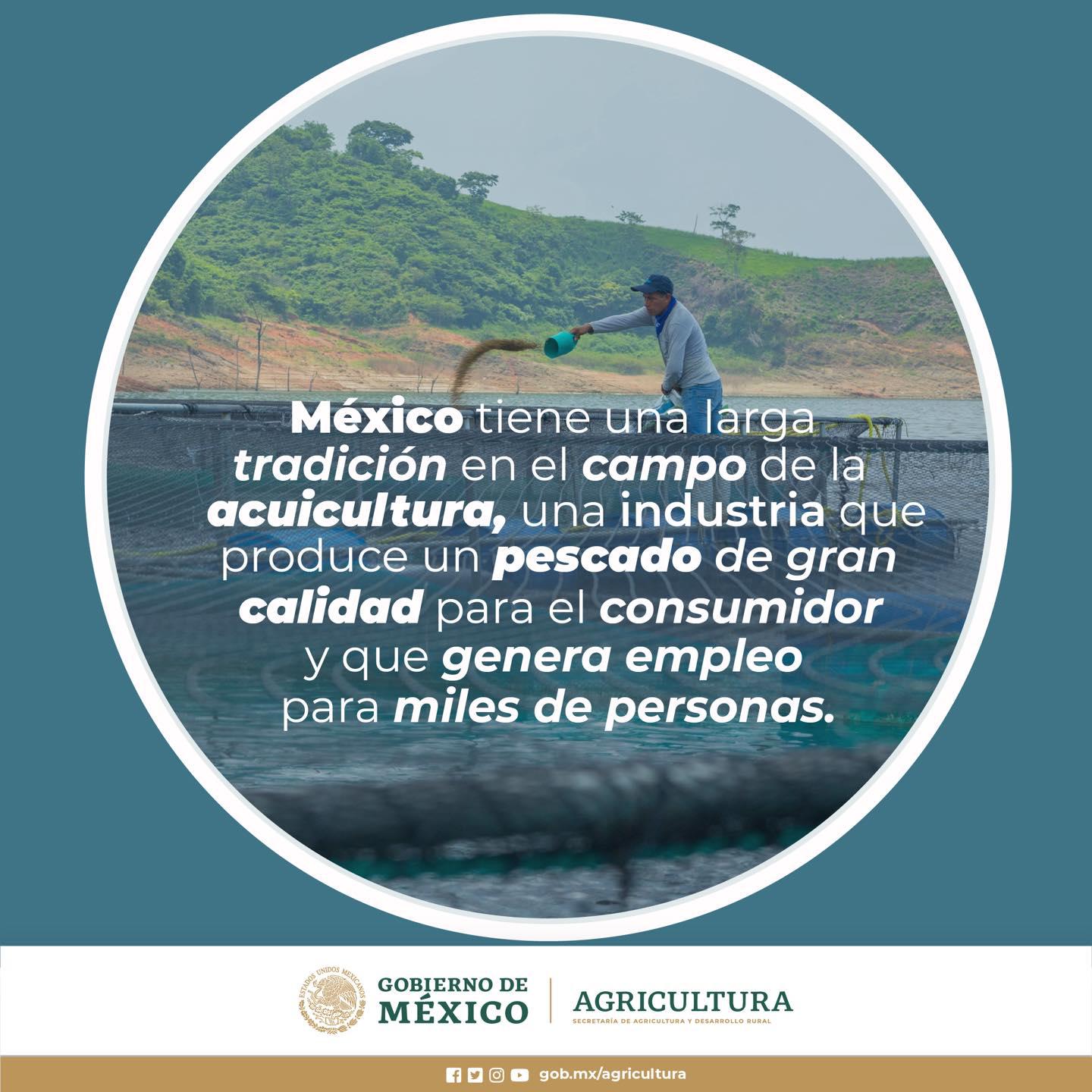 $!Acuacultura, una transición entre la pesca y la agricultura