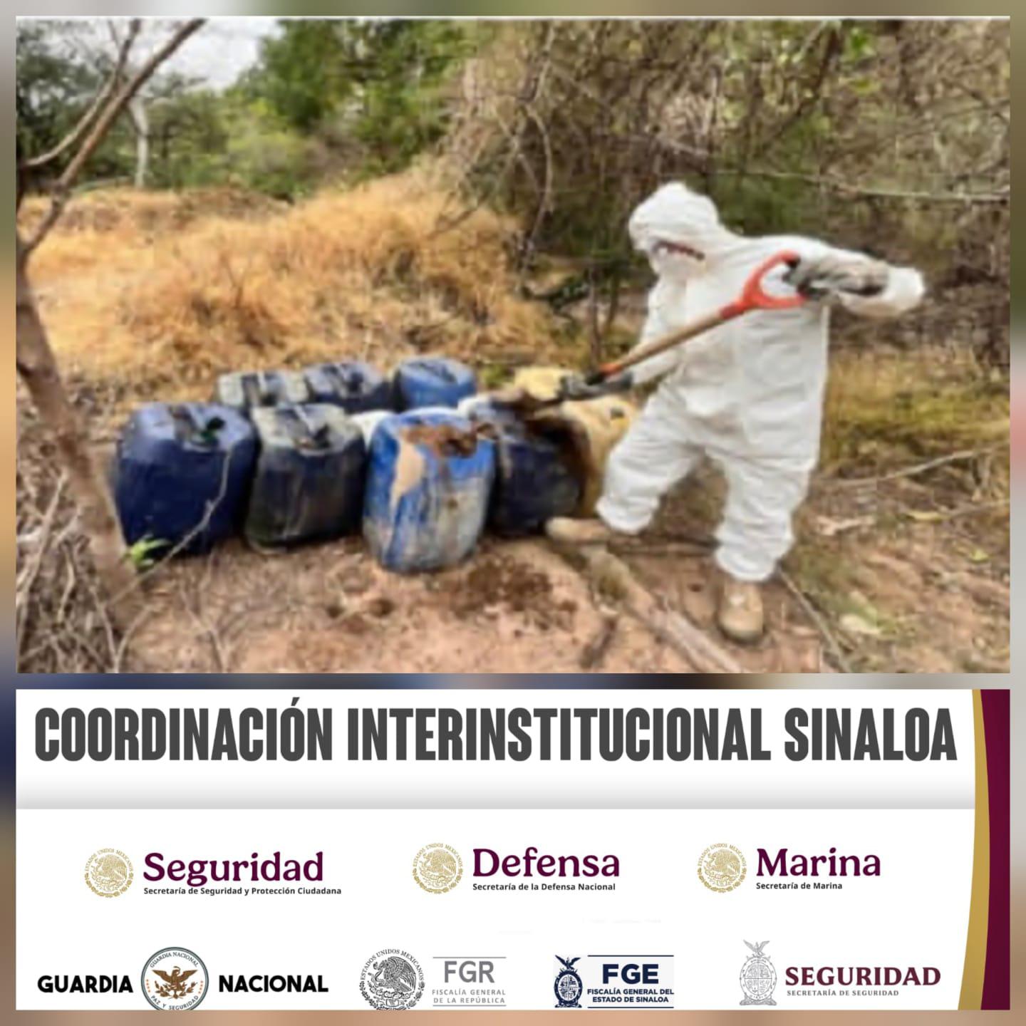 $!Aseguran seis áreas de concentración de sustancias químicas en Sinaloa