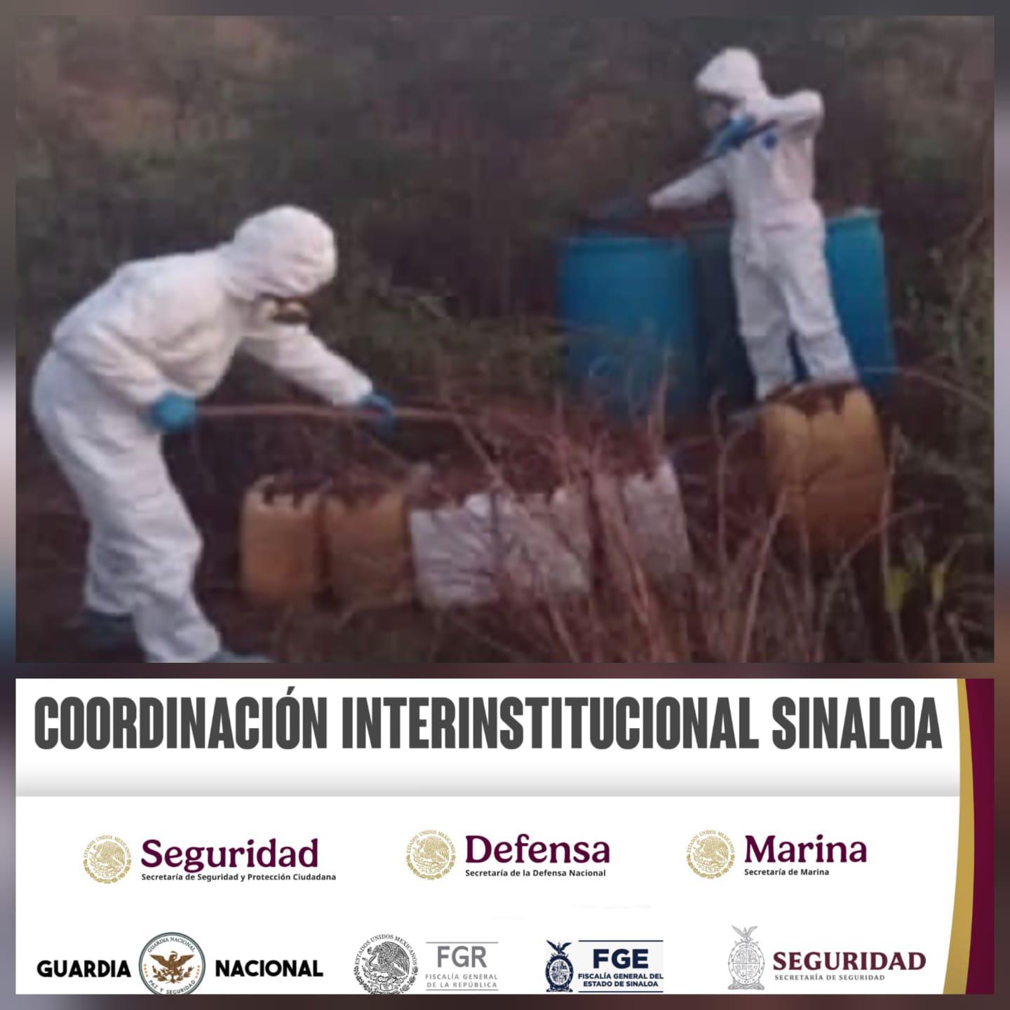 $!Aseguran seis áreas de concentración de sustancias químicas en Sinaloa