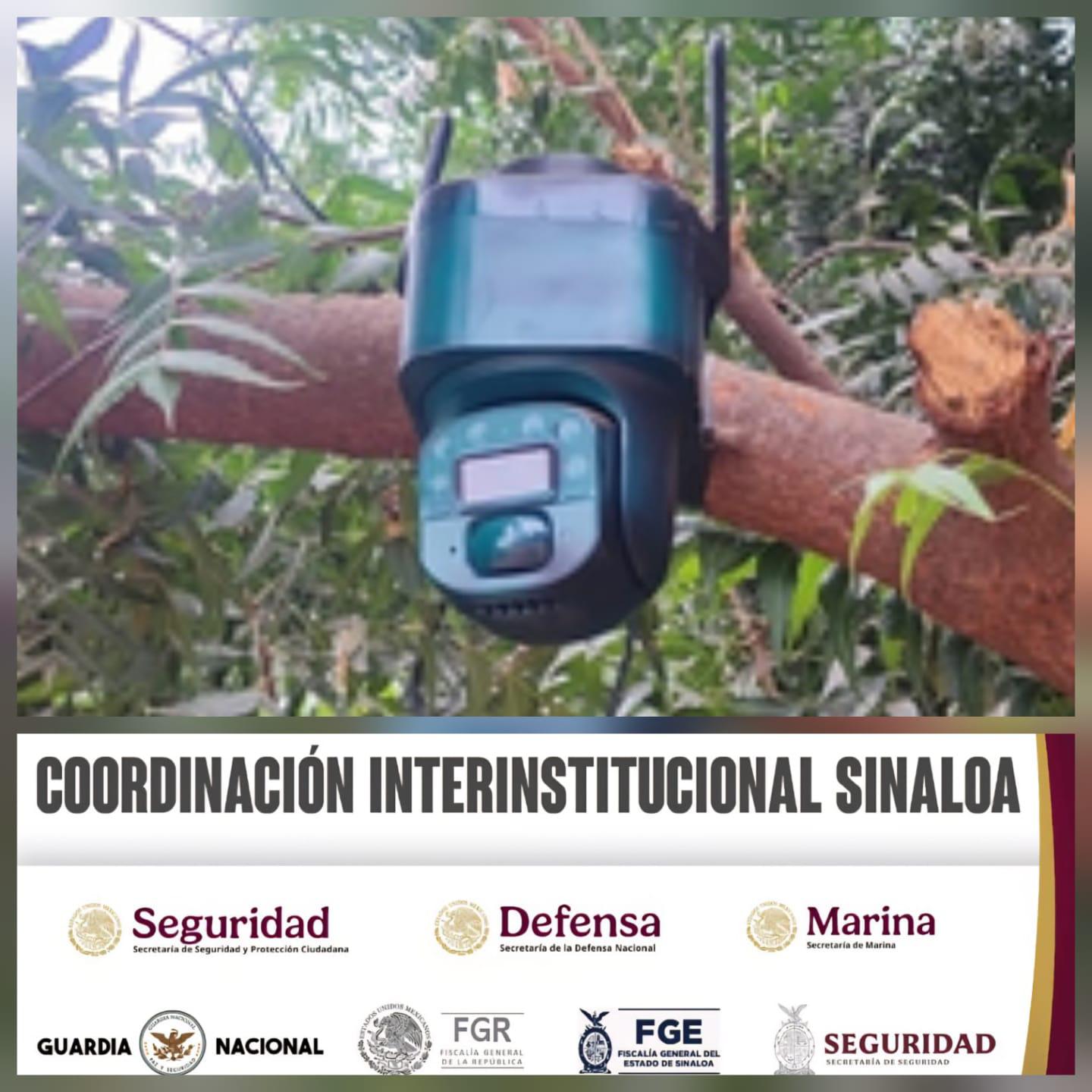 $!Retiran cámara con panel solar instalada en árbol del poblado El Bledal, en Navolato