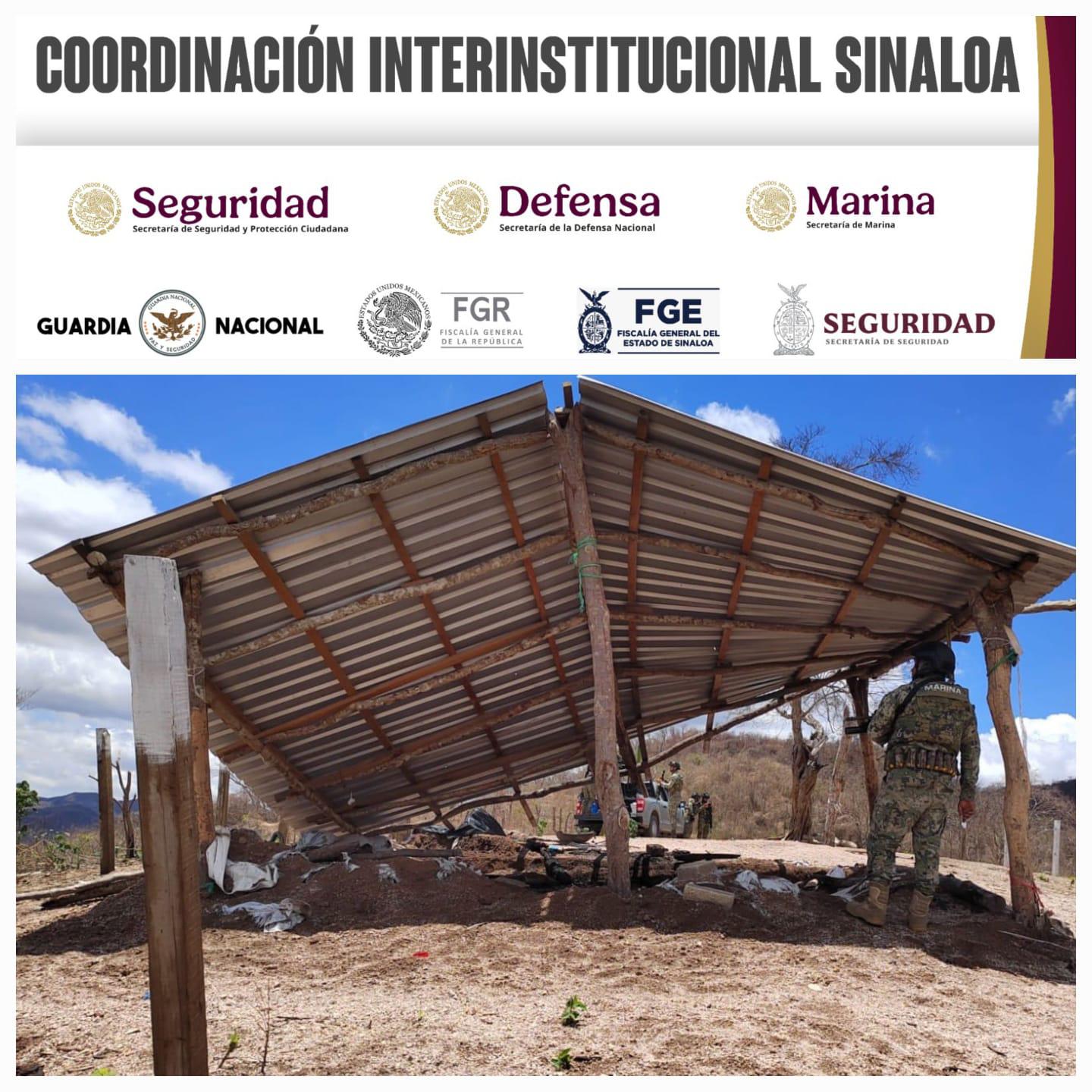 $!Marina desmantela dos campamentos y asegura droga, cartuchos y equipo táctico en Escuinapa