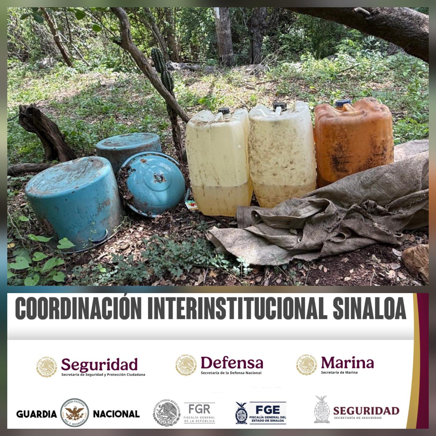 $!Aseguran y destruyen más de 75 mil litros de droga en Culiacán y Cosalá