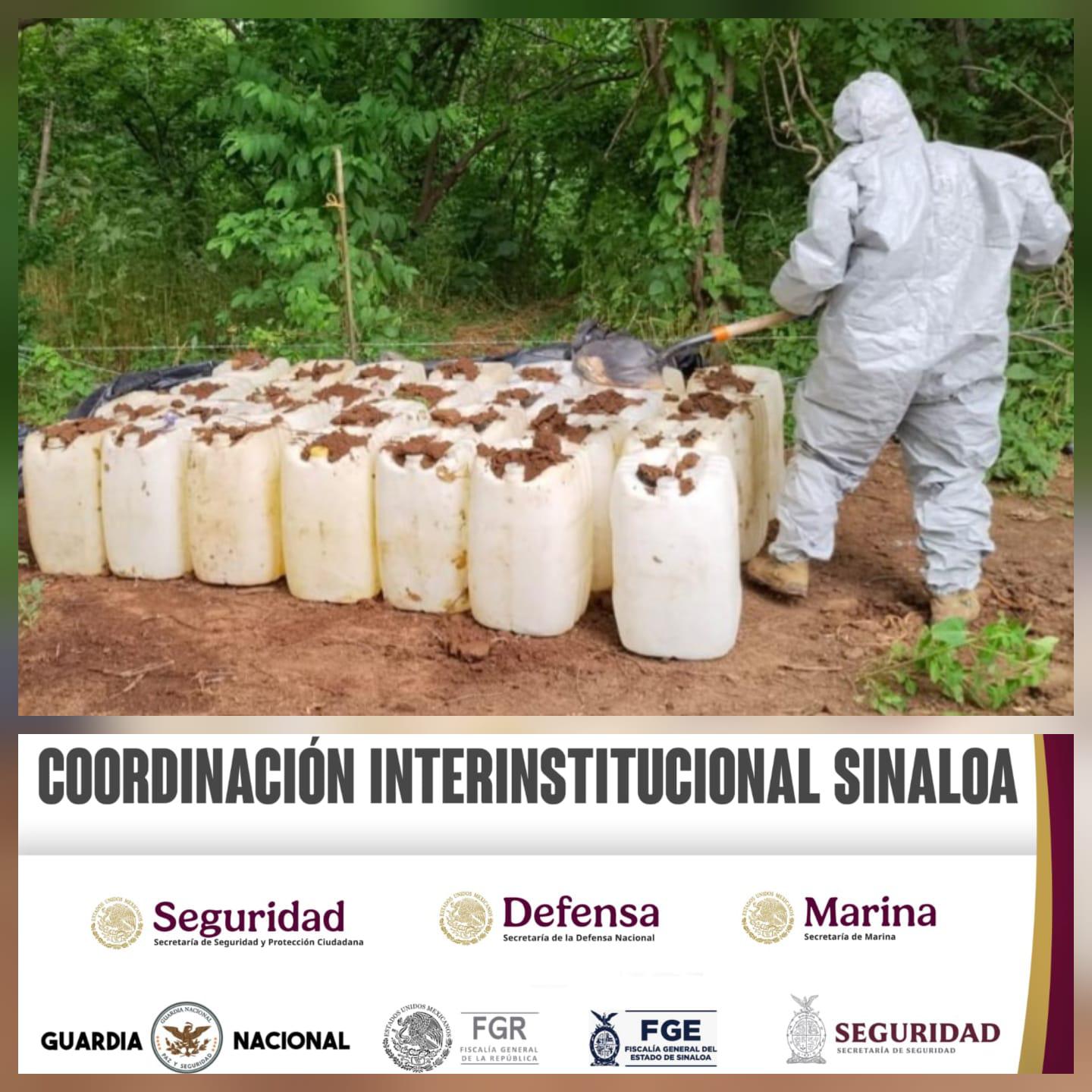 $!Aseguran y destruyen más de 75 mil litros de droga en Culiacán y Cosalá