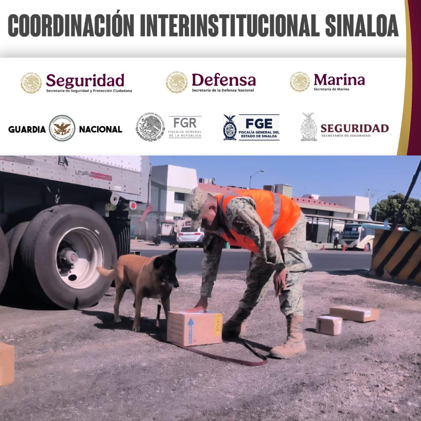 $!Aseguran mariguana en punto de revisión de Ahome