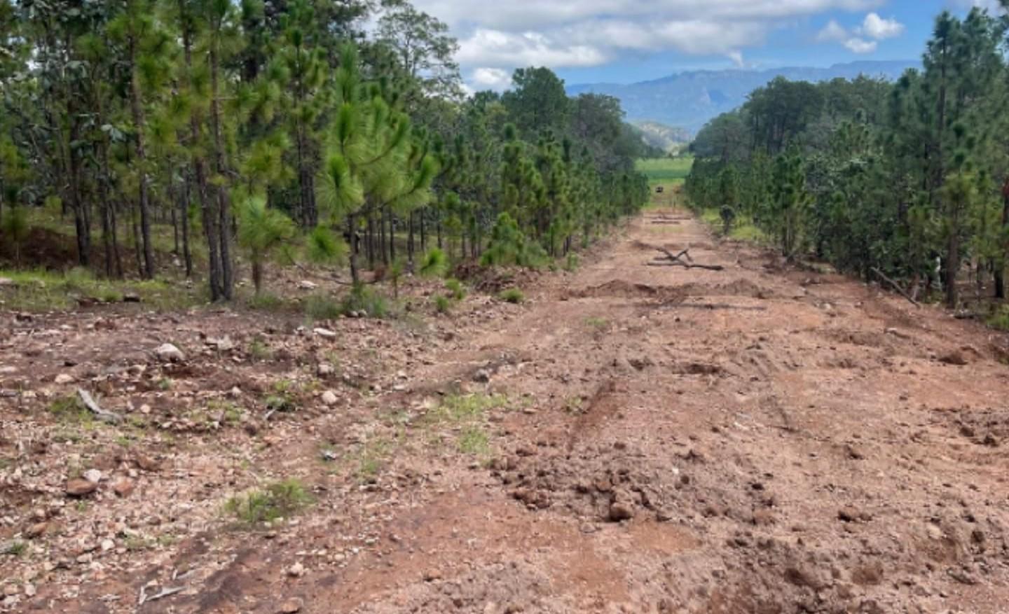 $!Ejército inhabilita pista clandestina en Choix
