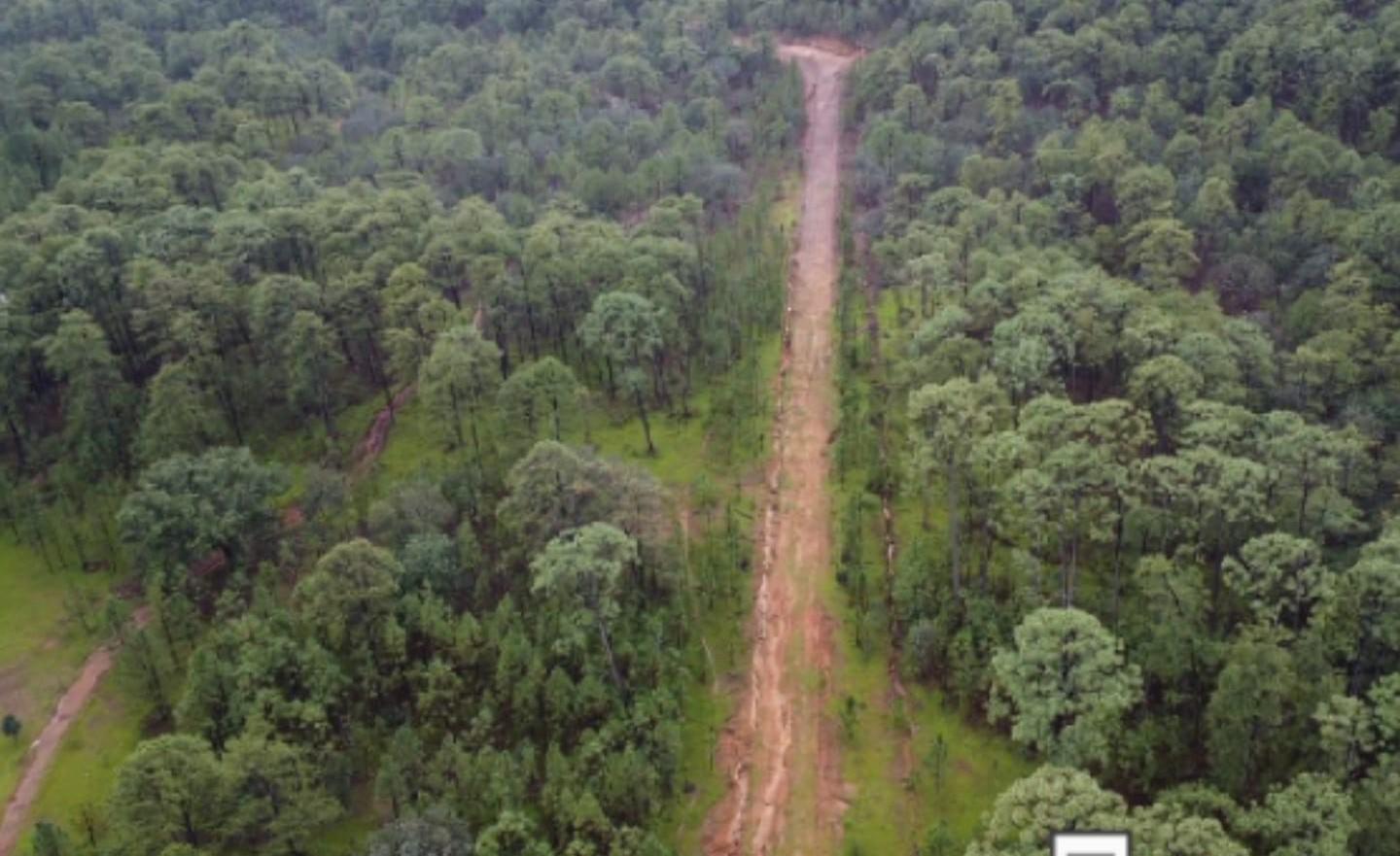 $!Ejército inhabilita pista clandestina en Choix