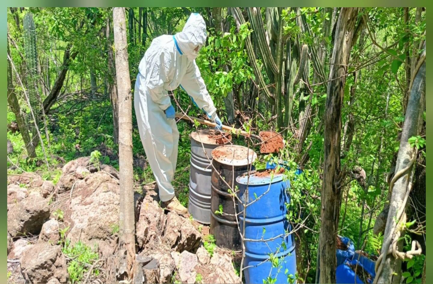 $!Ejército destruye centros de insumos para drogas en Culiacán y Cosalá