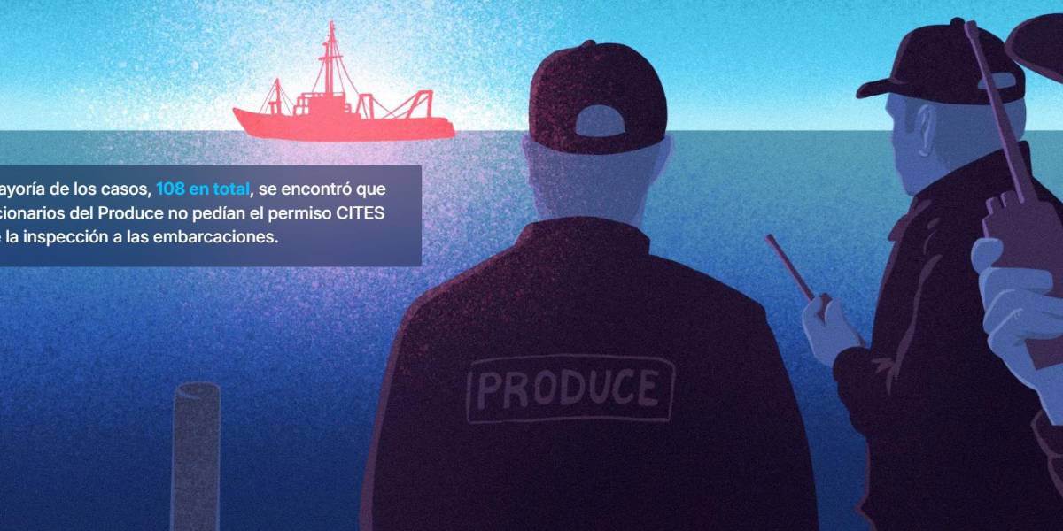 Deficiente fiscalización de autoridades peruanas facilita transporte irregular de más de 1500 toneladas de tiburones protegidos