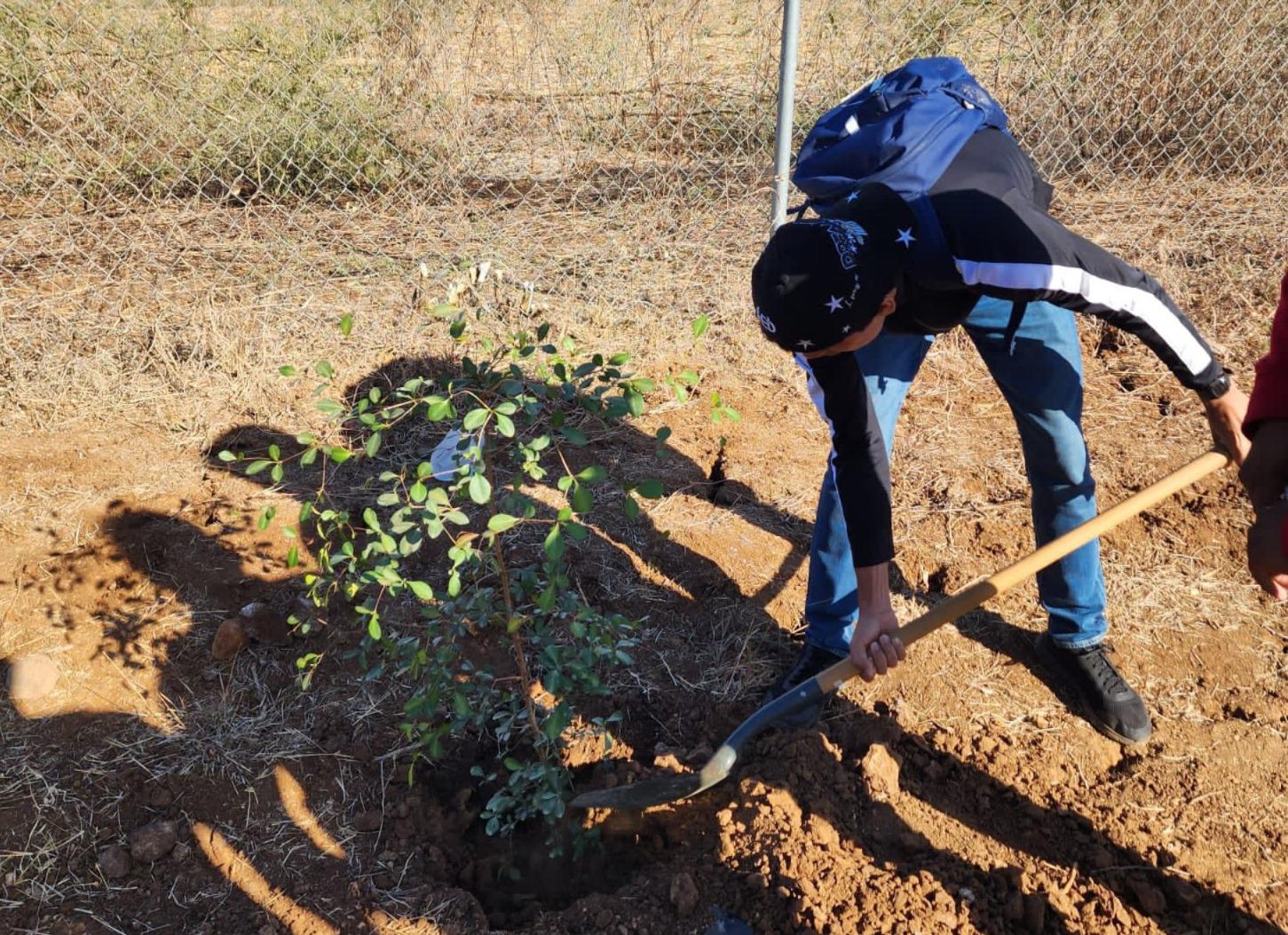 $!Cesur impulsa ‘Jardines Sustentables’ para bienestar universitario en Rosario