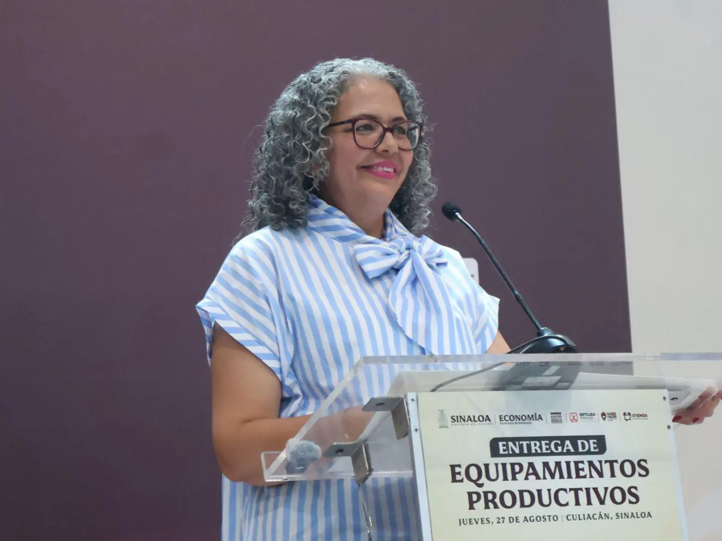$!Reciben 220 emprendedores equipos para fortalecer economía familiar, en Culiacán