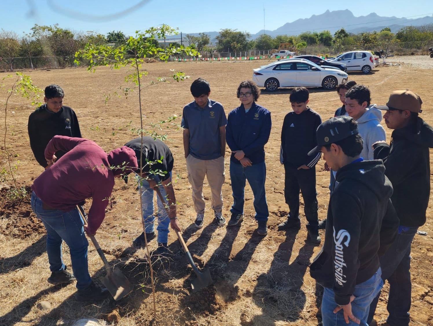 $!Cesur impulsa ‘Jardines Sustentables’ para bienestar universitario en Rosario