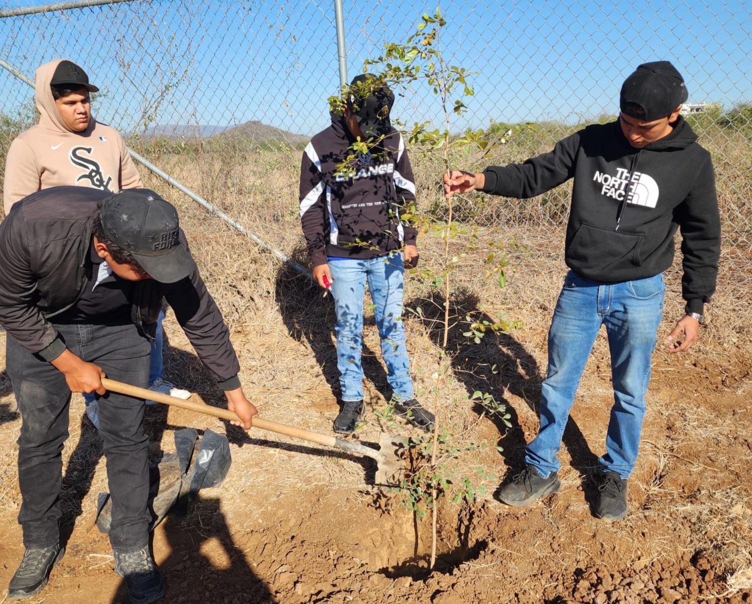 $!Cesur impulsa ‘Jardines Sustentables’ para bienestar universitario en Rosario