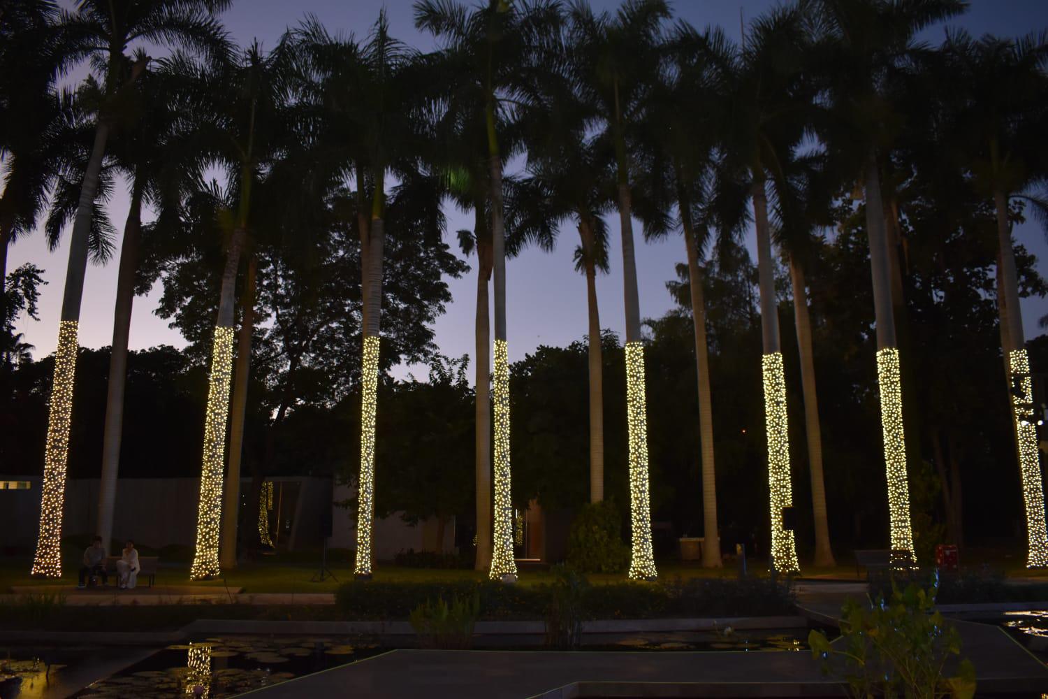 $!Son más de 860 metros lineales los que se iluminaron en esta nueva edición.