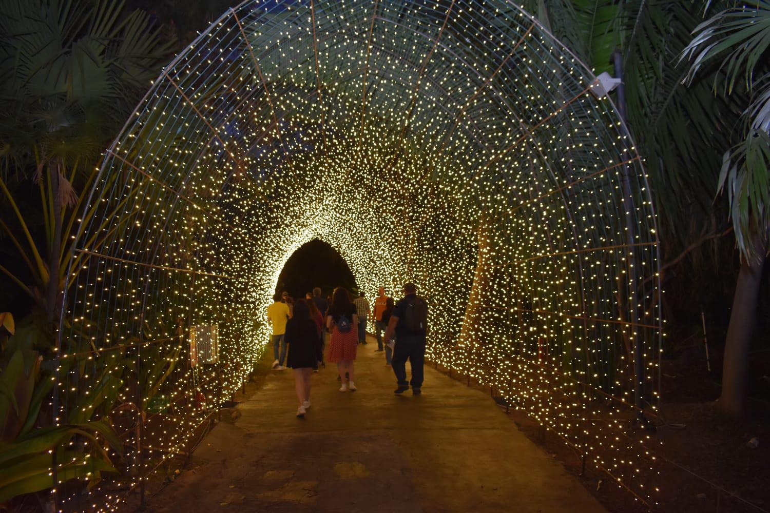 $!El túnel es uno de los principales atractivos del recorrido.