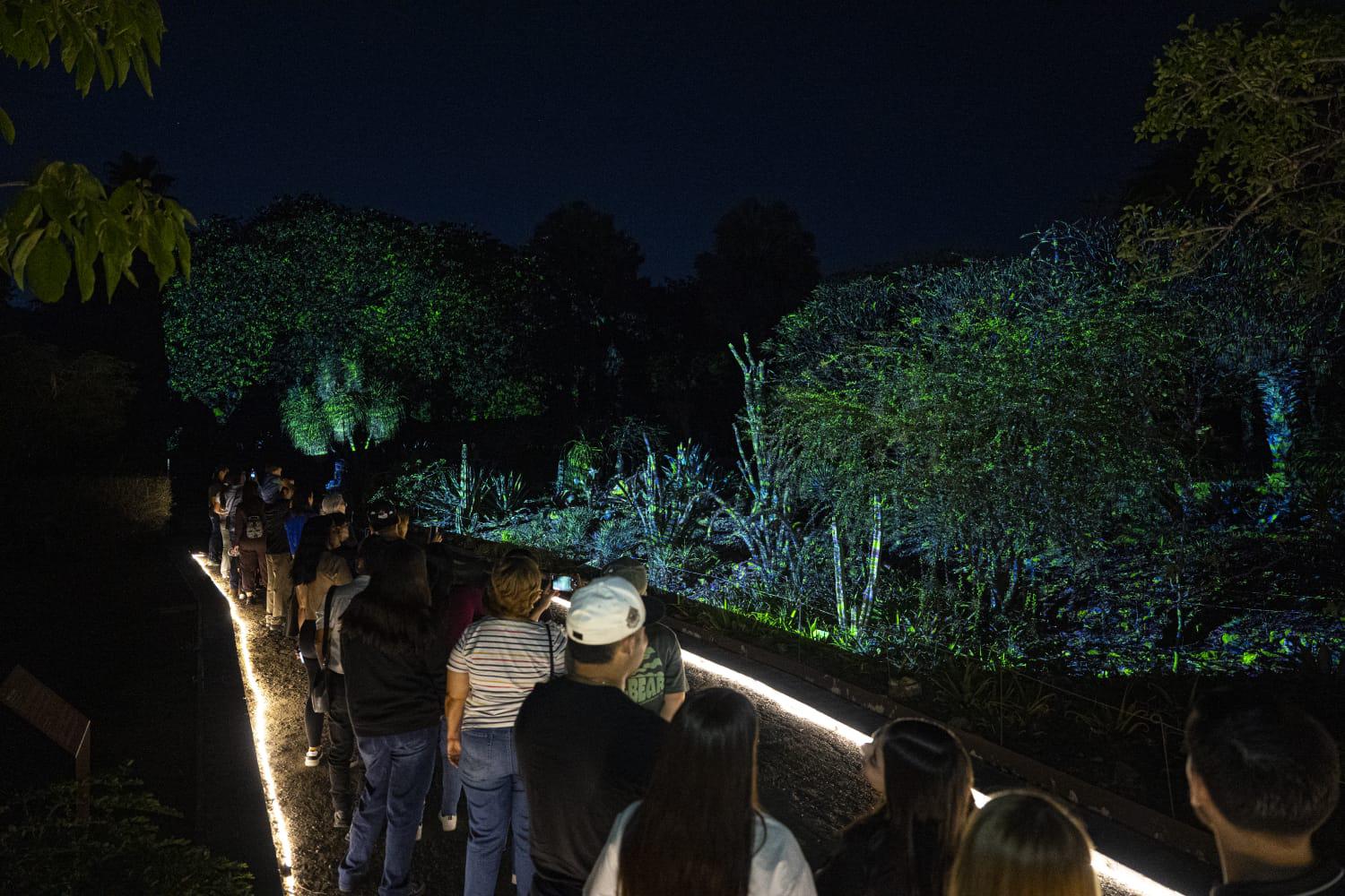 $!Navidad en el Botánico: Una experiencia interactiva de luz, música y tecnología en Culiacán