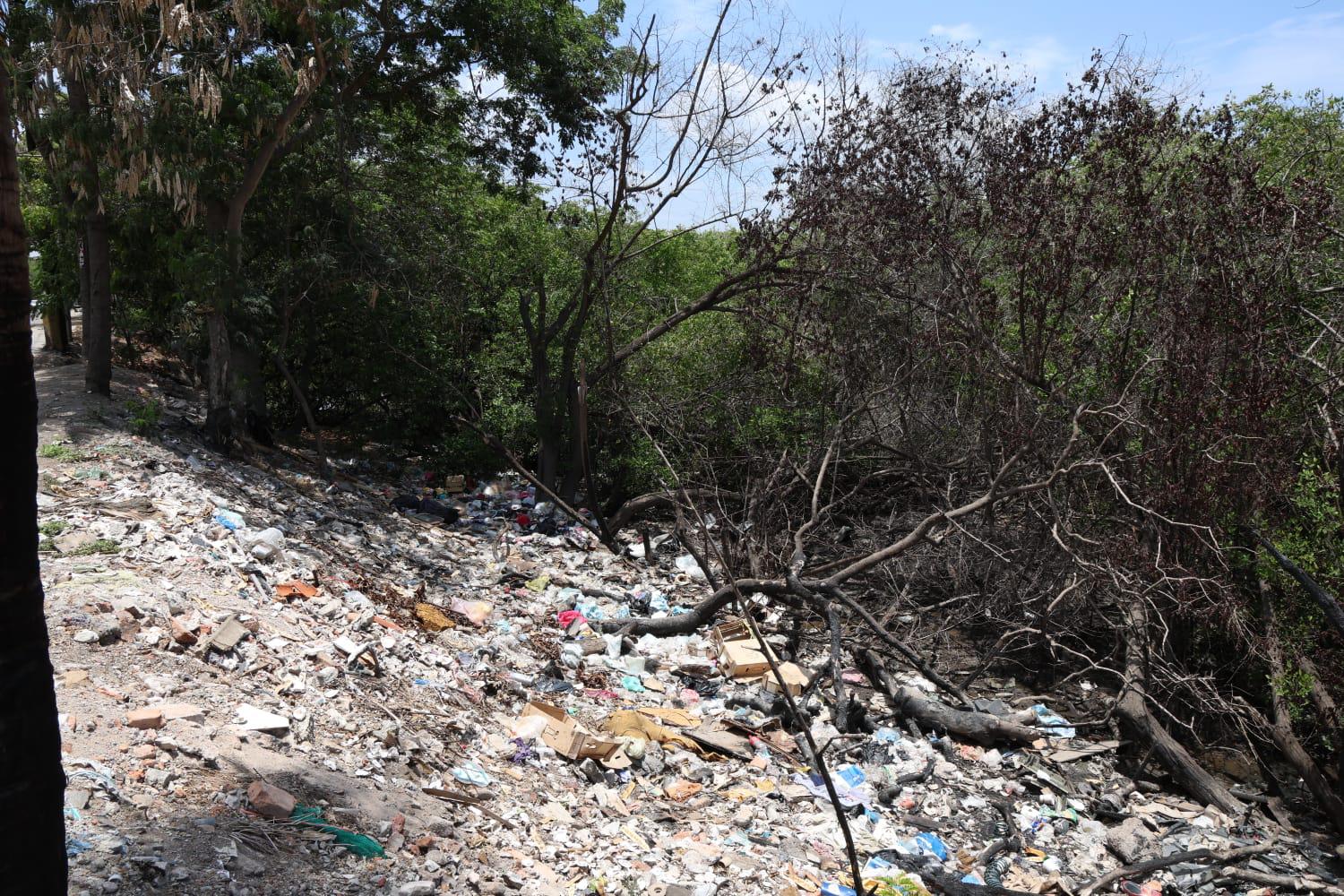 $!Tras las lluvias, estero del Infiernillo vuelve a cubrirse de basura en Mazatlán