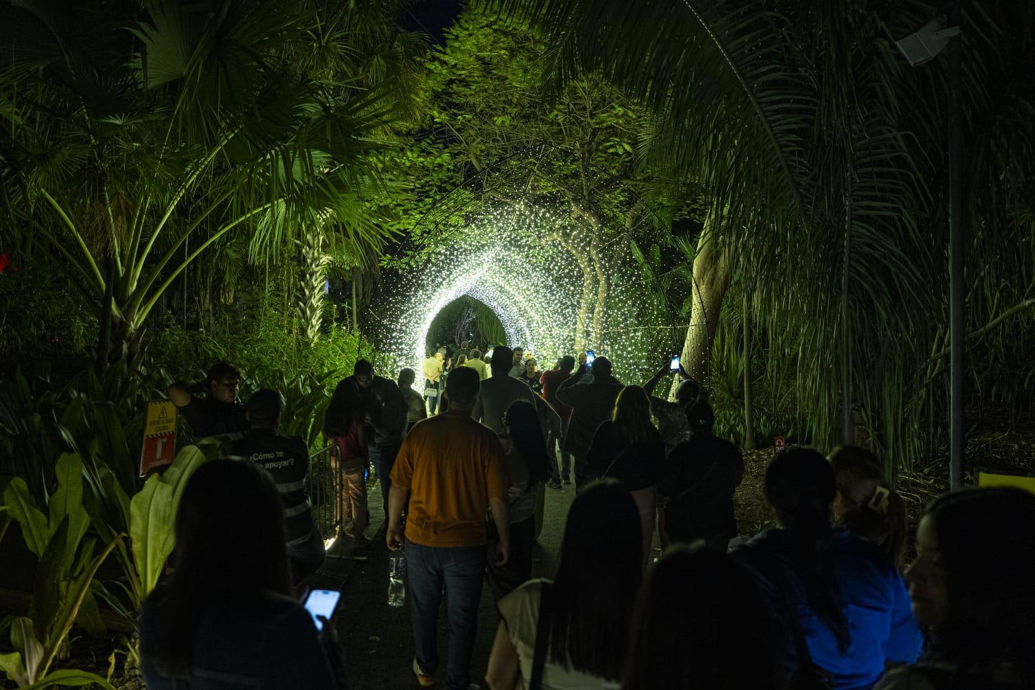 $!Navidad en el Botánico: Una experiencia interactiva de luz, música y tecnología en Culiacán