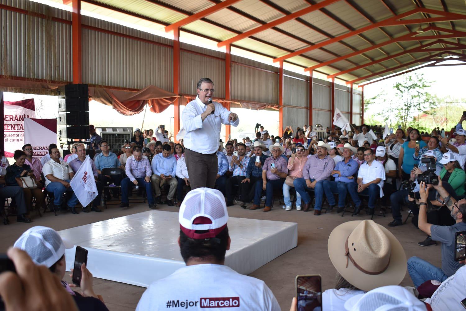 $!Piden a Ebrard recuperar estatus zoosanitario y cambiar reglas de operación de Segalmex