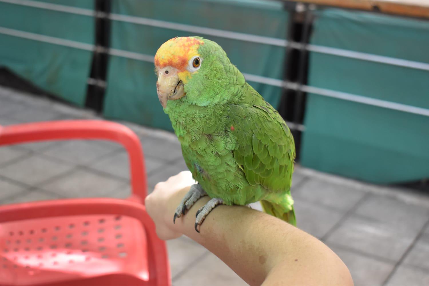 $!Ofrece Zoológico de Culiacán un ambiente familiar y ‘a todo dar’