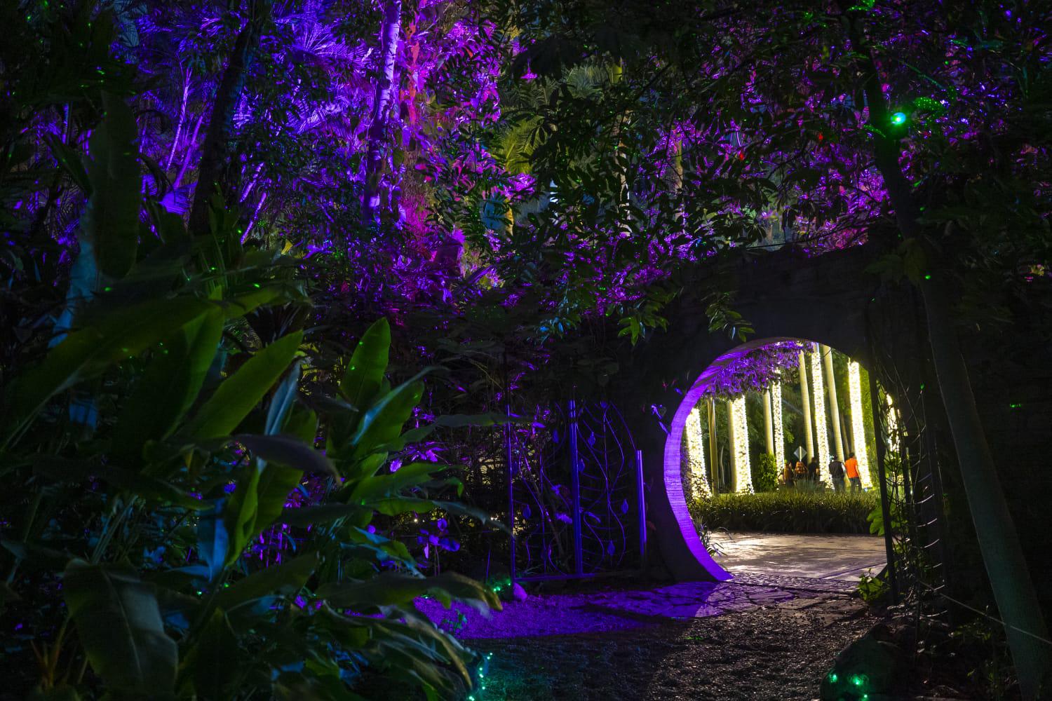 $!Navidad en el Botánico: Una experiencia interactiva de luz, música y tecnología en Culiacán