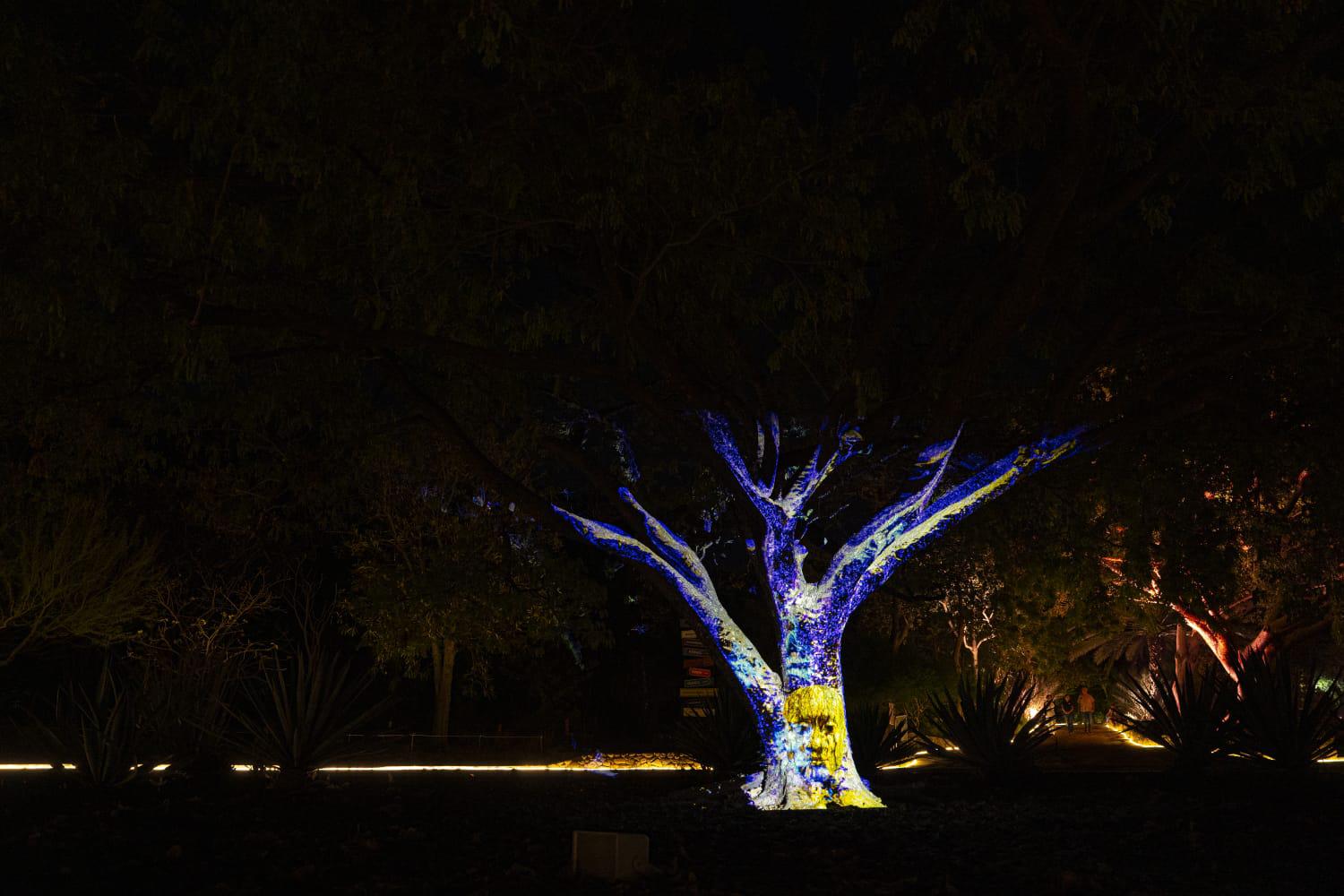 $!Navidad en el Botánico: Una experiencia interactiva de luz, música y tecnología en Culiacán